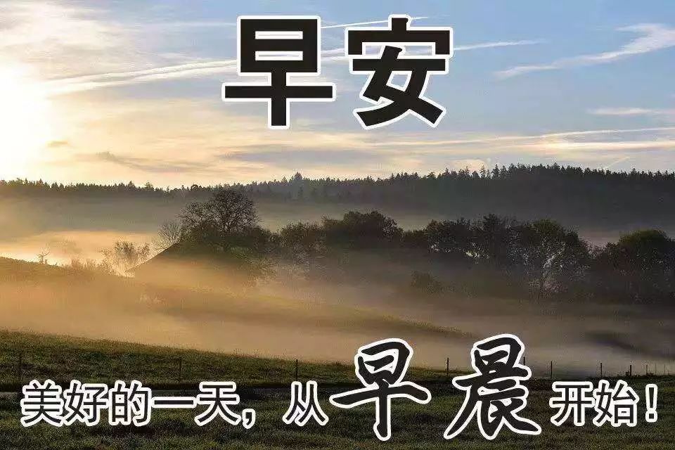 支付寶撒幣15億引發(fā)全民“薅羊毛”，民間文案真是哈哈哈哈哈